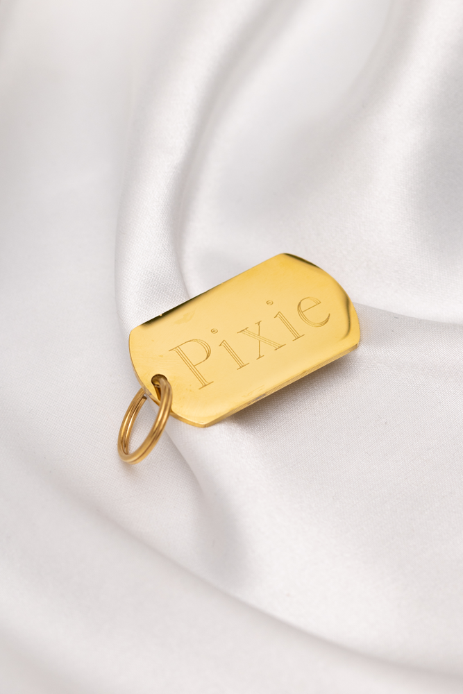 Gold dog tag with name and address engraving - Pixie